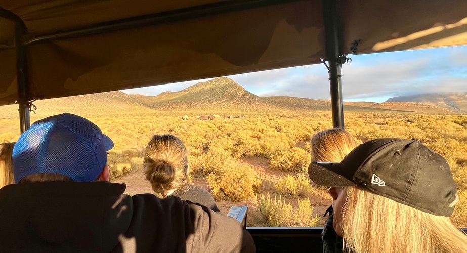 Op safari met leeftijdsgenoten